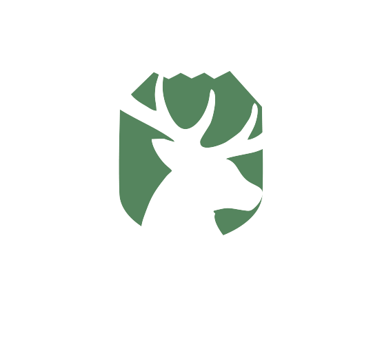 Visit Foppolo